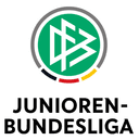 DFB Youth League