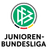 DFB Youth League