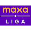 1. Liga