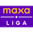 1. Liga